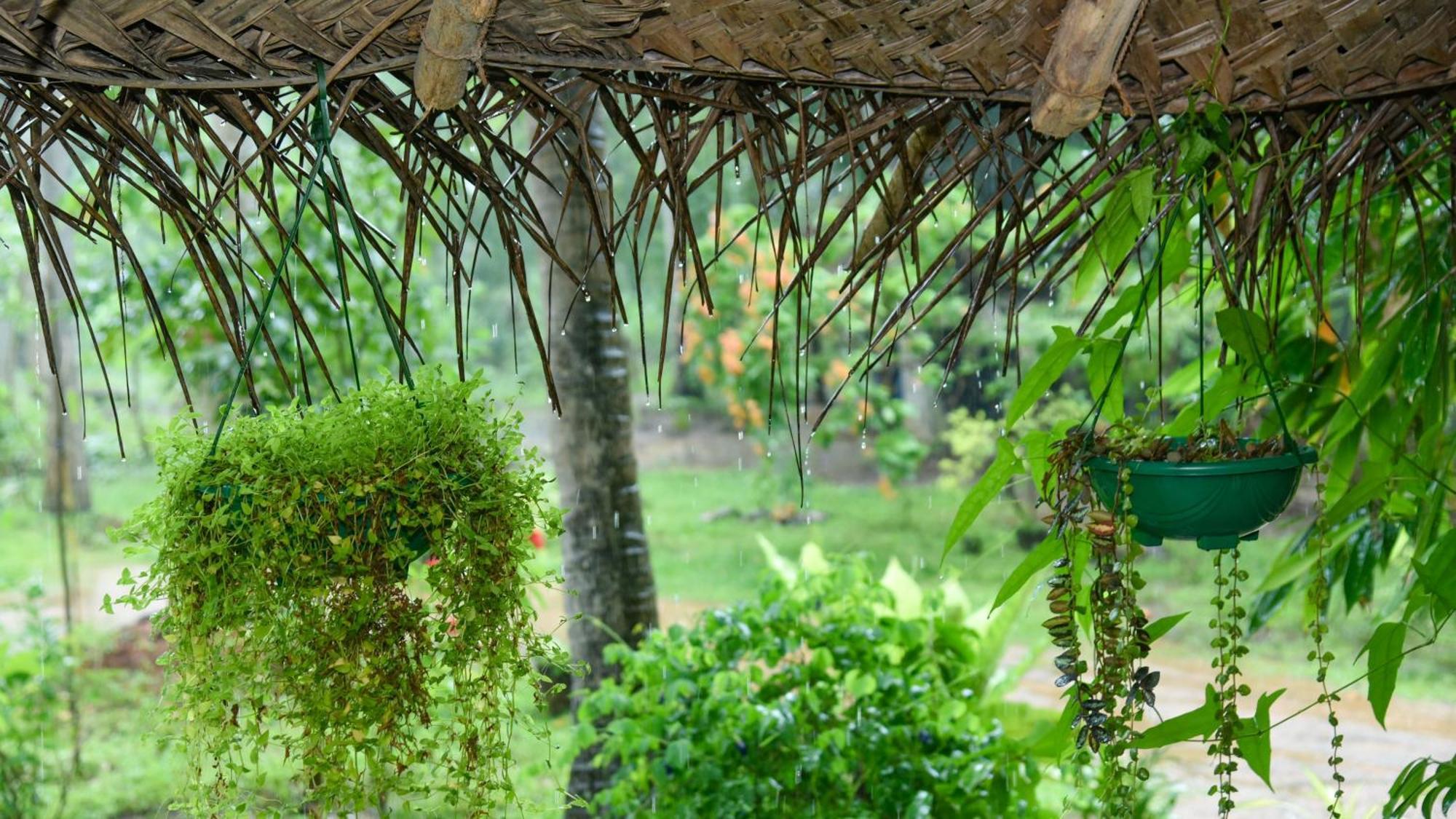Prem Nadee Homestay دامبولا المظهر الخارجي الصورة