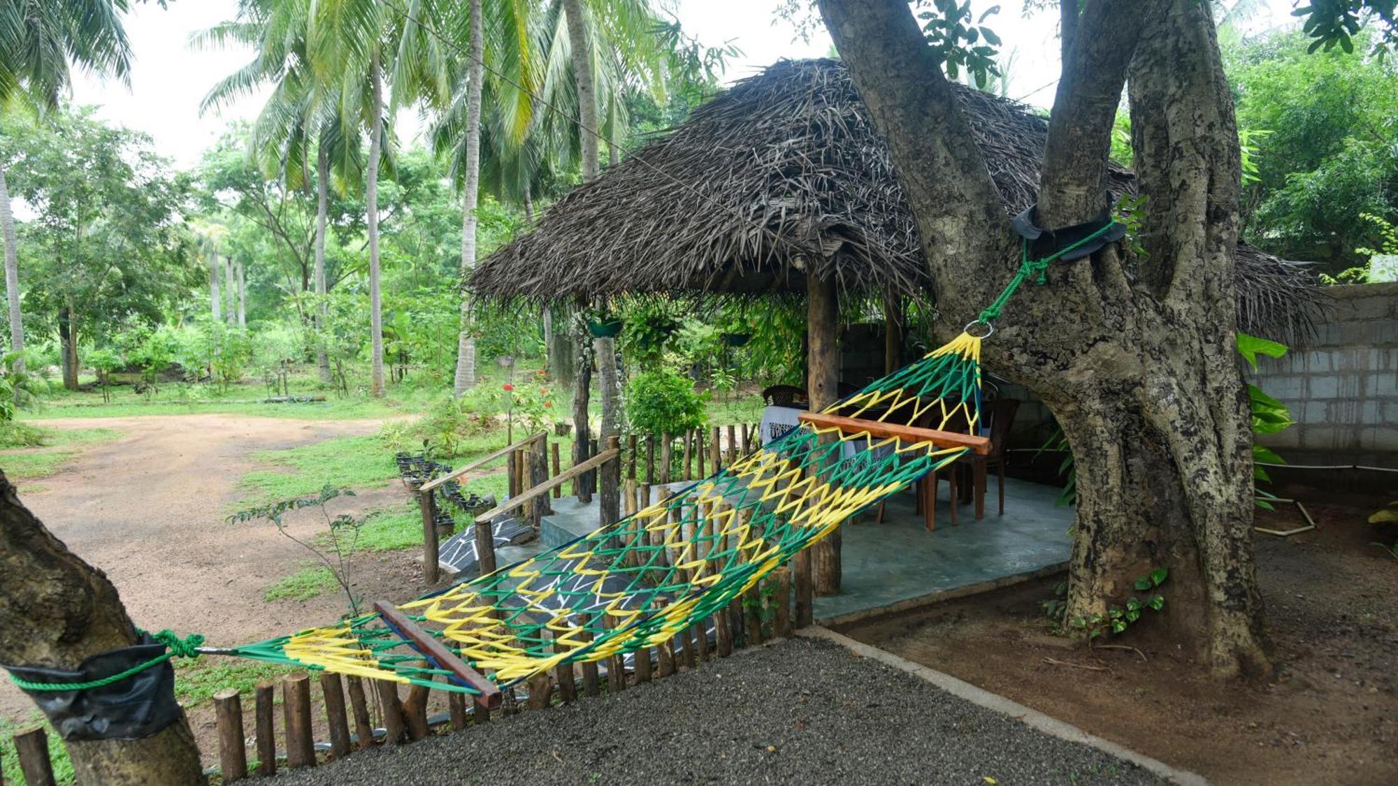 Prem Nadee Homestay دامبولا المظهر الخارجي الصورة